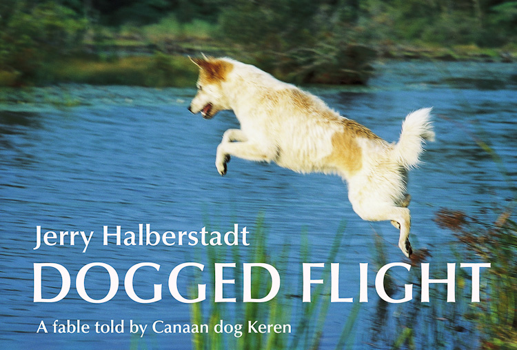 cover of Dogged Flight