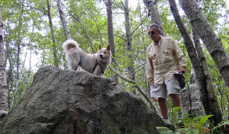 Author: Jerry Halberstadt with Canaan dog Keren